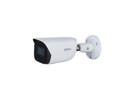 Уличная цилиндрическая IP-видеокамерас ИИ Dahua DH-IPC-HFW3441EP-SA-0360B-S2